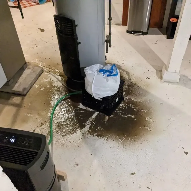 Sewage Backup Cleanup Service in Little Falls, NJ
